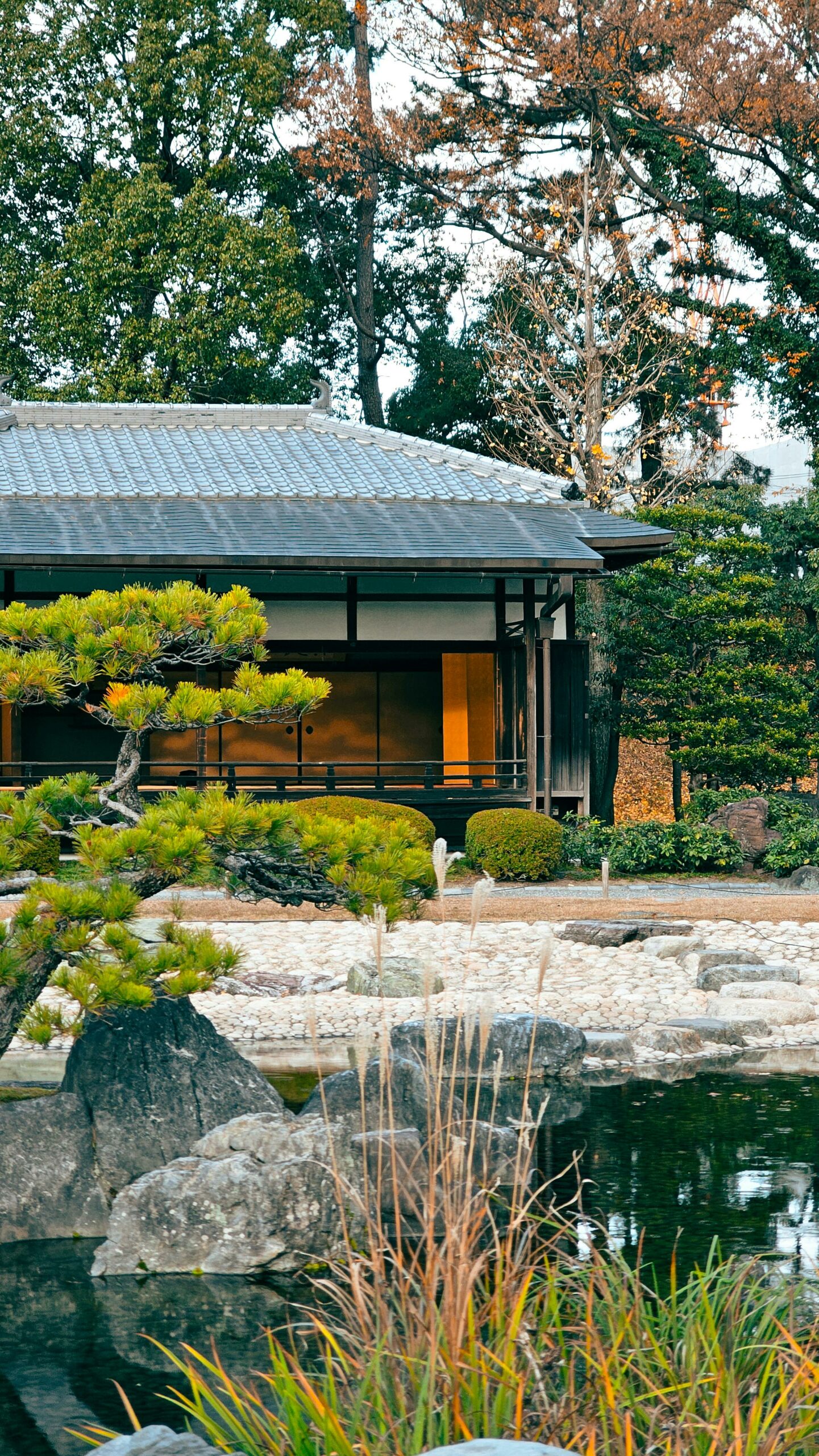 purification des lieux